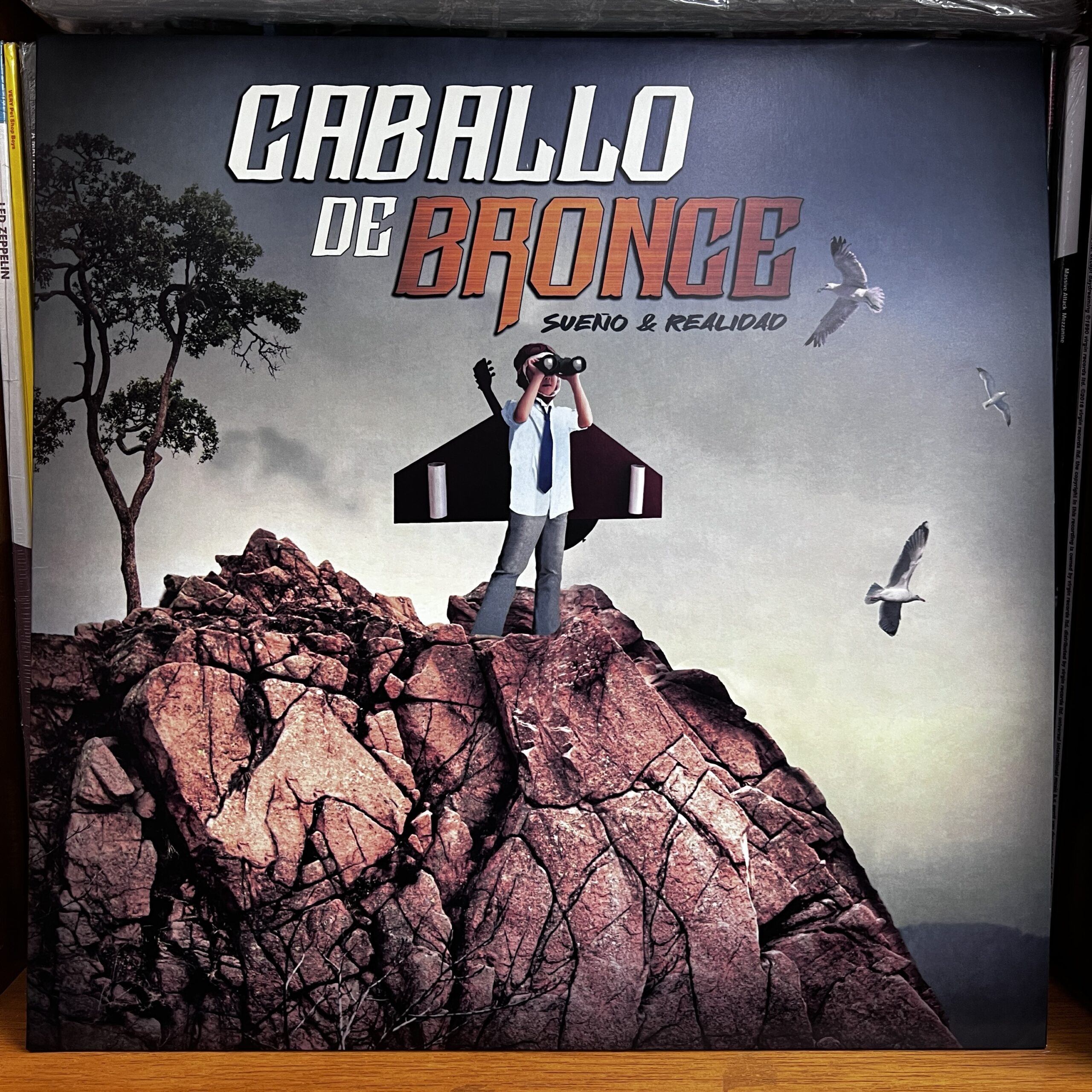 Caballo de Bronce / Sueño & Realidad