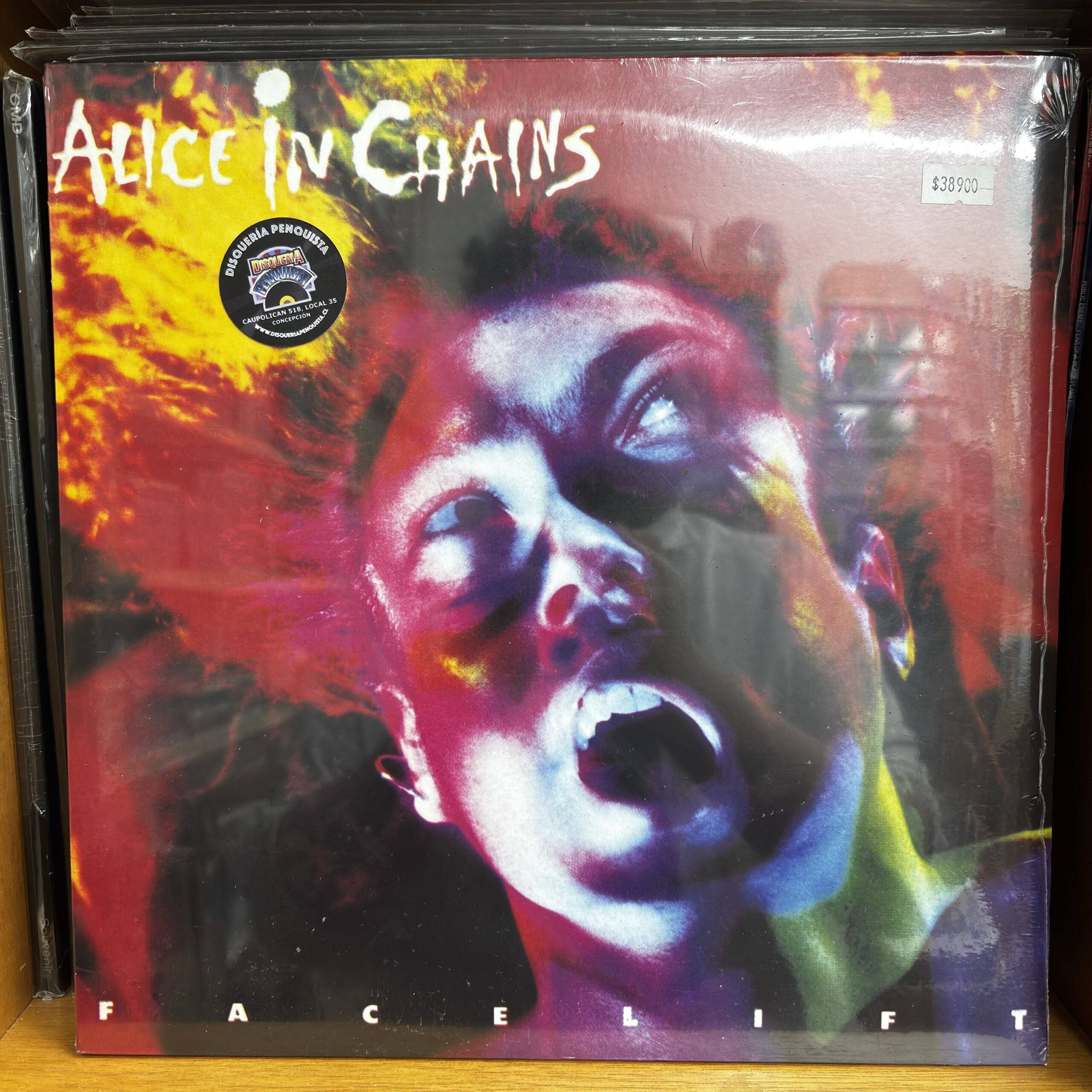 Alice In Chains | Facelift
