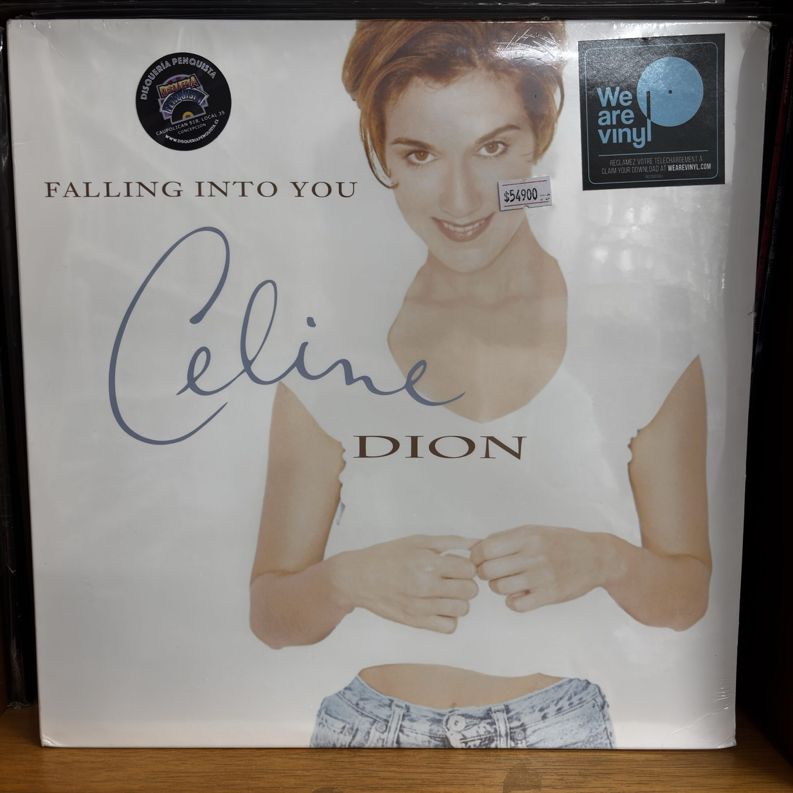 Celin Dion | falling into you