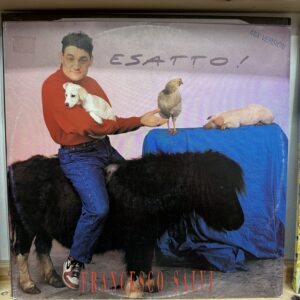 Francesco Salvi / Essatto