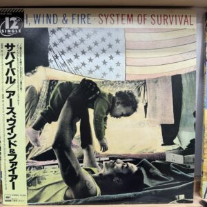 Earth, Wind & Fire / System of Survival