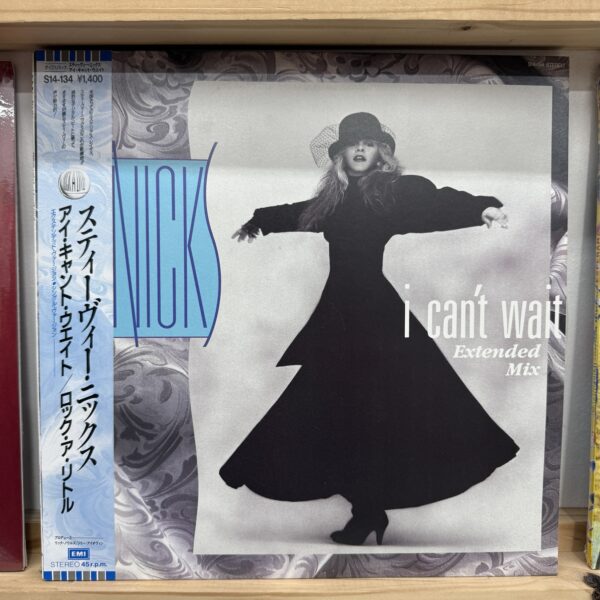 Stevie Nicks / i cant wait
