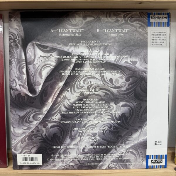 Stevie Nicks / i cant wait - Imagen 2