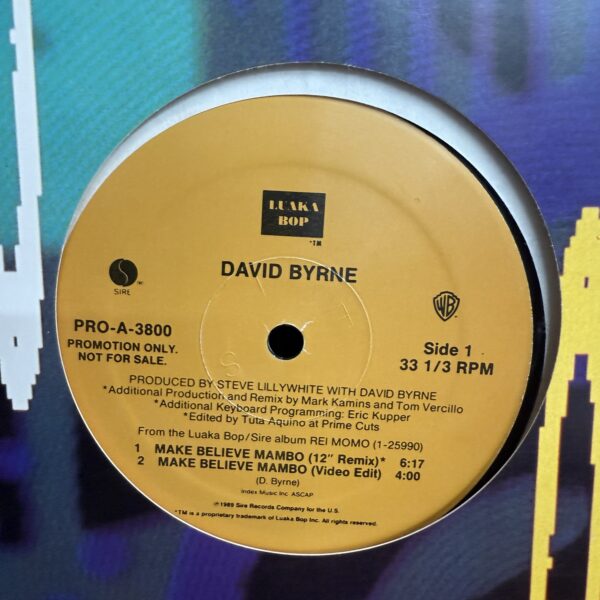 David Byrne / Make Believe Mambo - Imagen 3