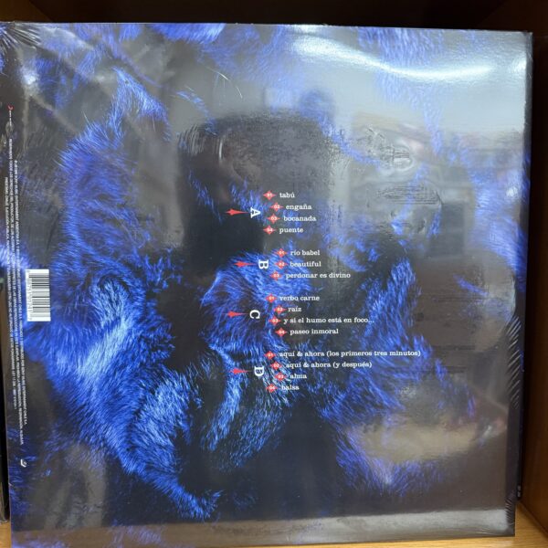 Gustavo Cerati / Bocanada - Imagen 2