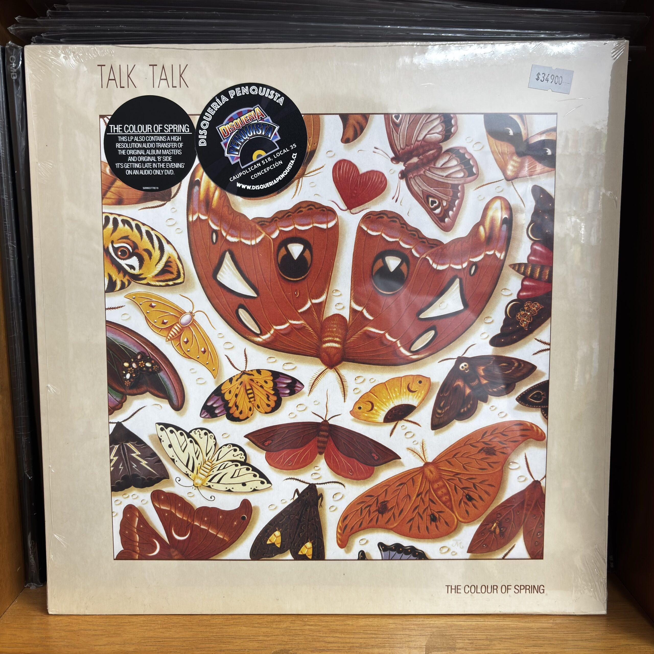 Talk Talk | the colours of spring