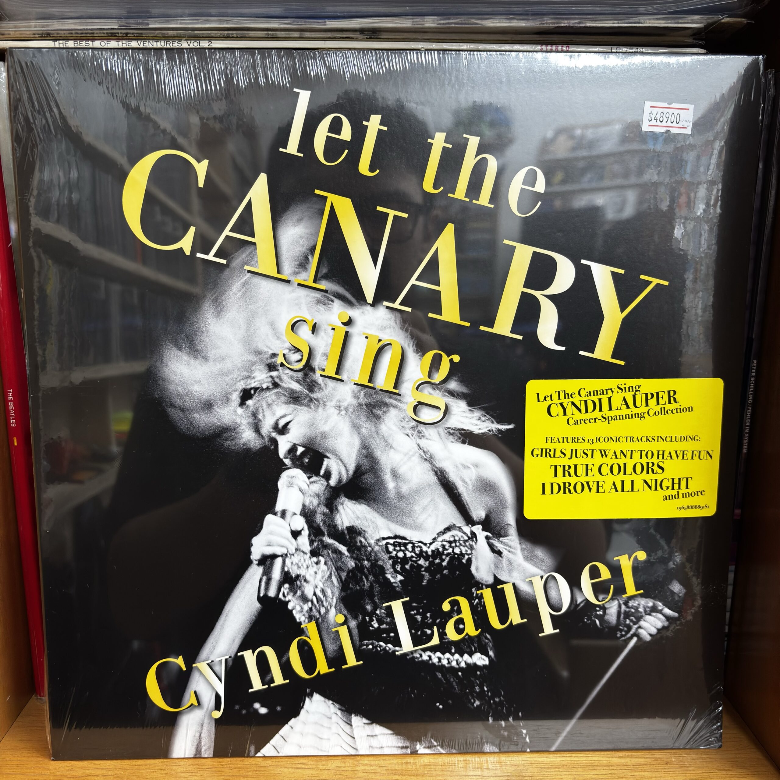 Cyndi Lauper | let the canary sing