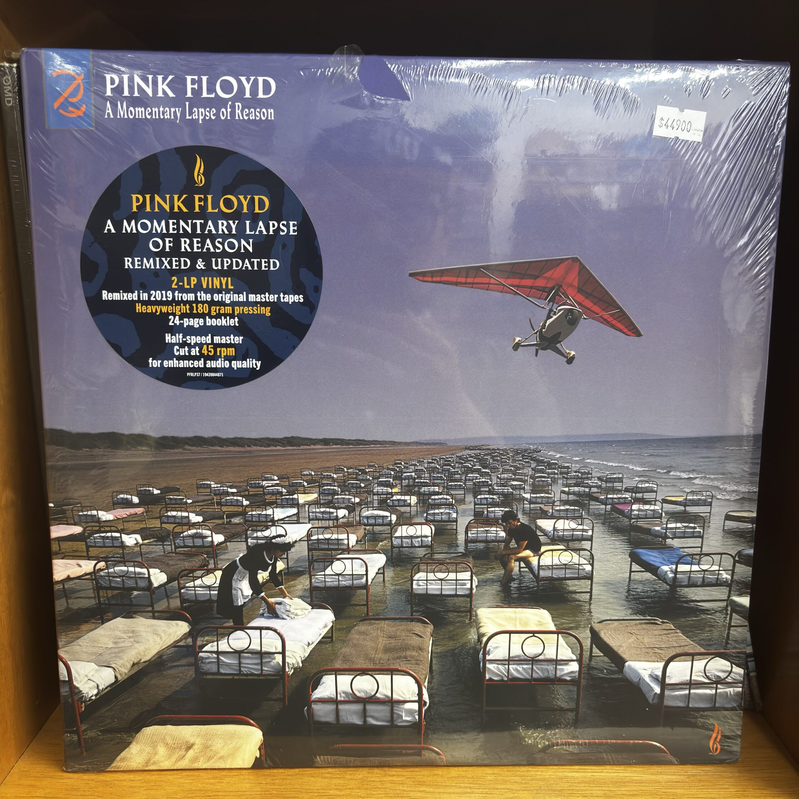 Pink Floyd | a momentary lapse of reason