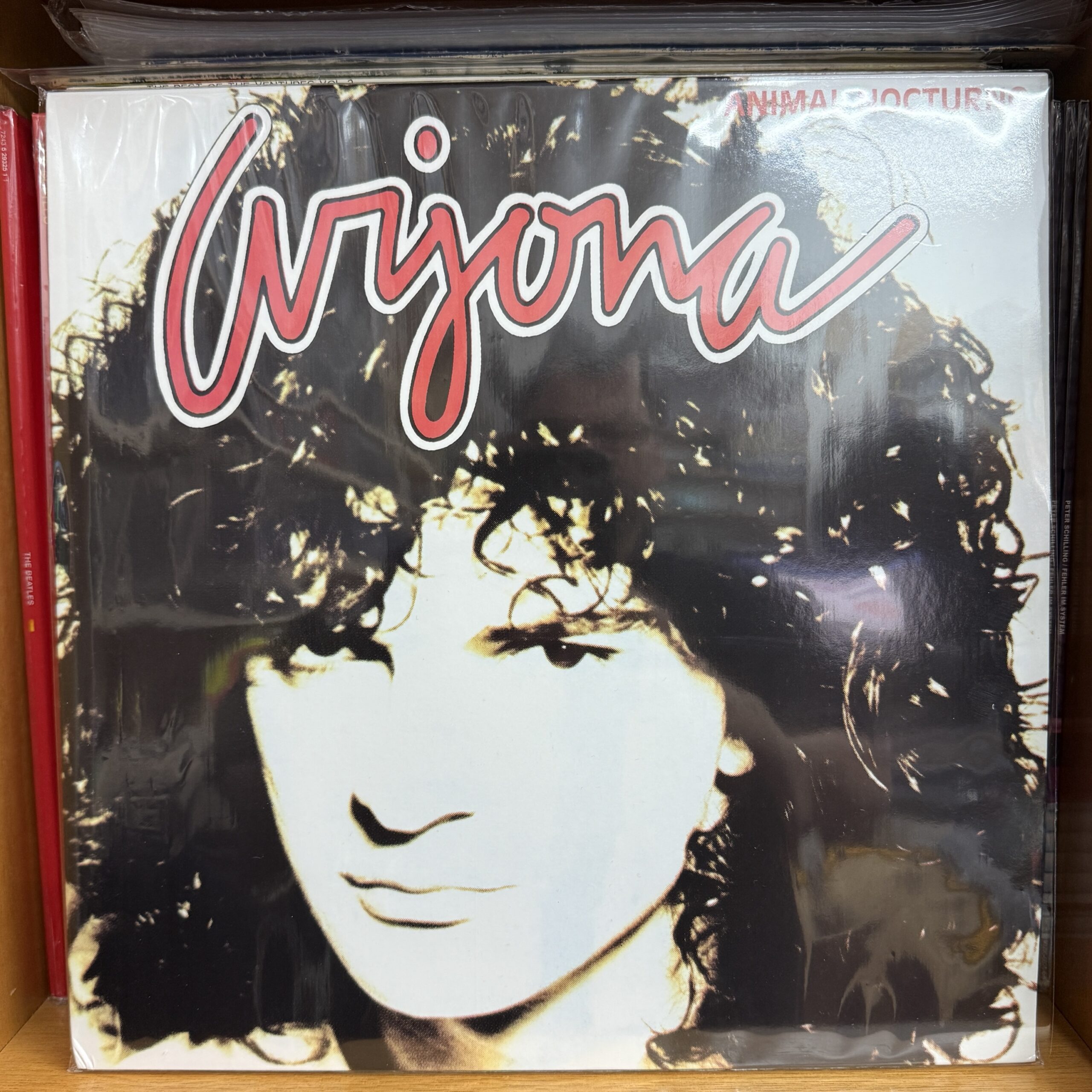 Ricardo Arjona / Animal Nocturno